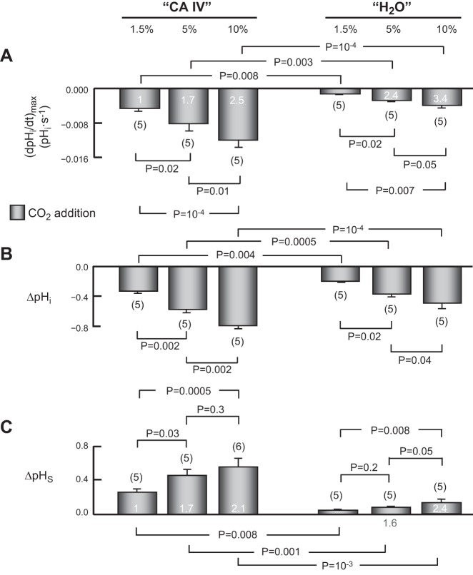 Fig. 10.