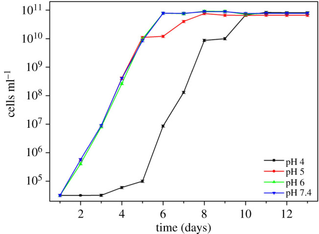 Figure 3.