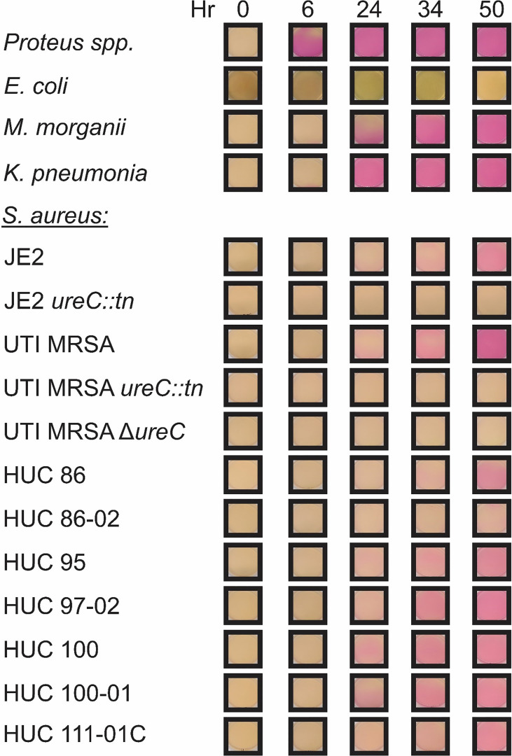 Figure 3