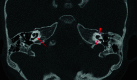 FIG 7.
