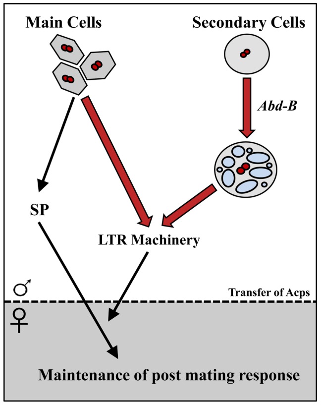 Figure 9