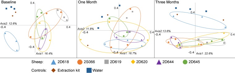 FIG 6