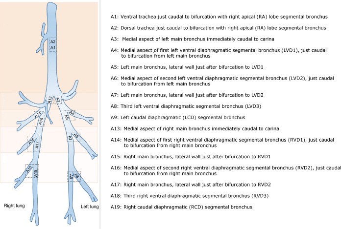 FIG 2