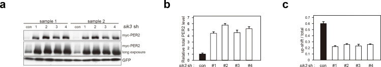 Figure 3—figure supplement 3.