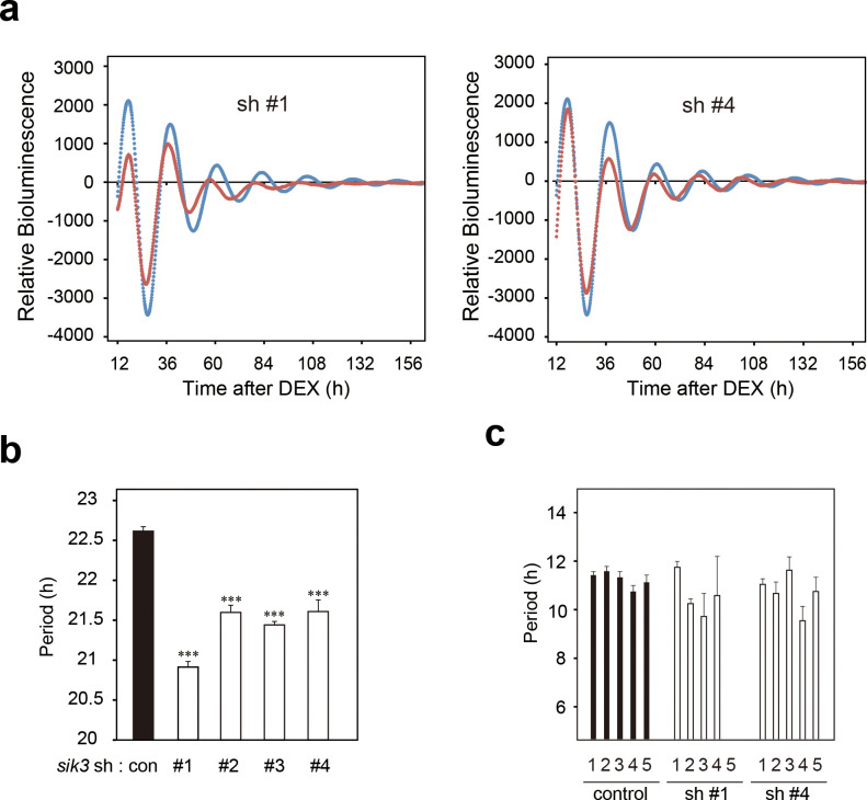 Figure 2—figure supplement 1.