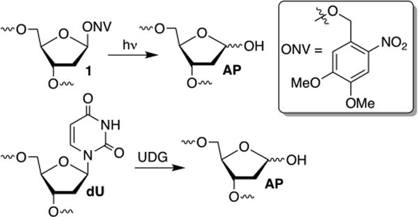 Scheme 2