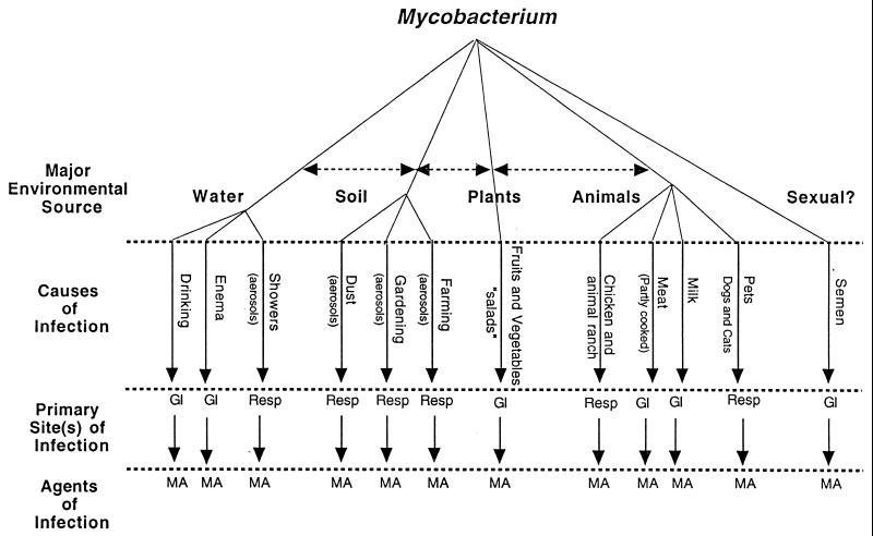 FIG. 1