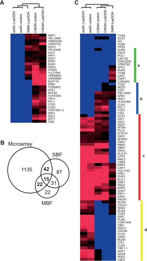 FIGURE 4.