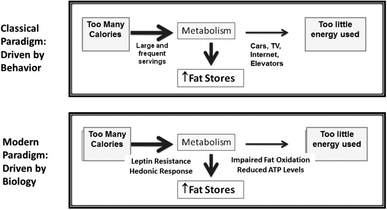 FIGURE 1