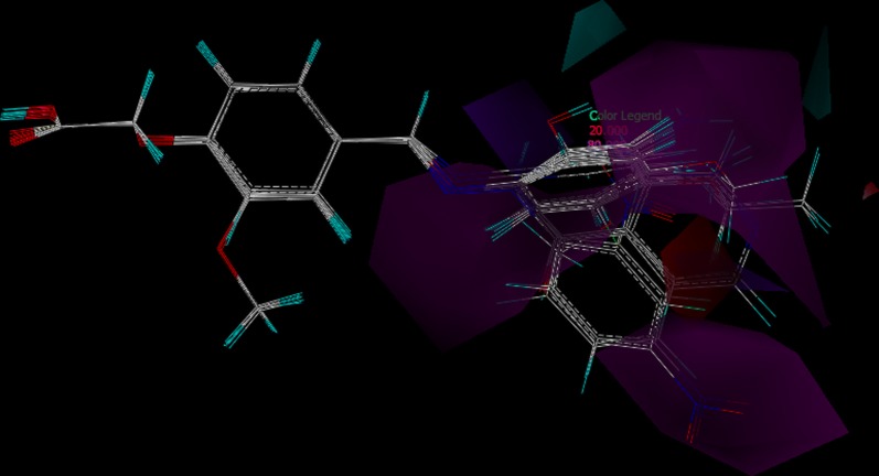 Fig. 10