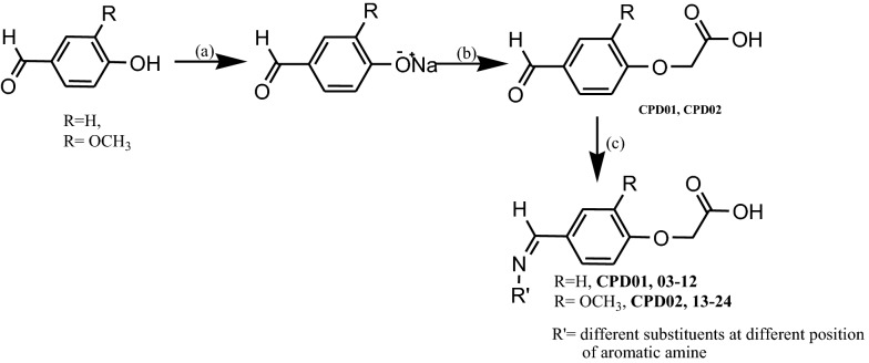 Scheme 1