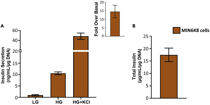 Figure 6