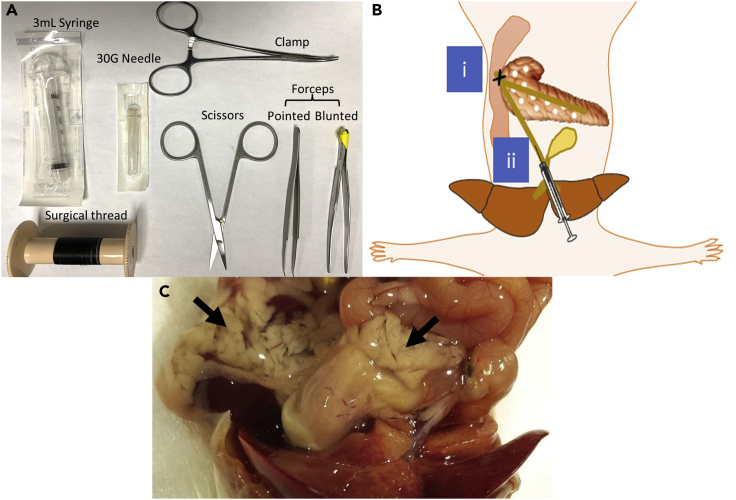 Figure 1