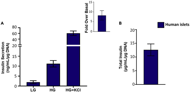 Figure 5