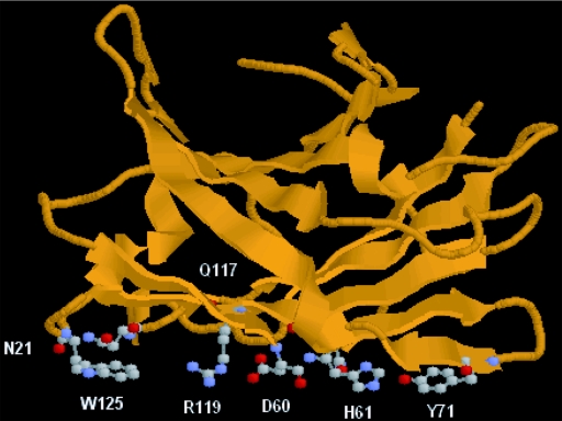 FIG. 2.