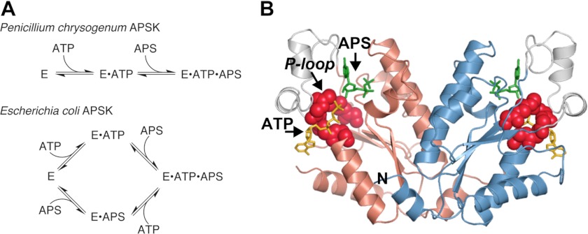 FIGURE 1.