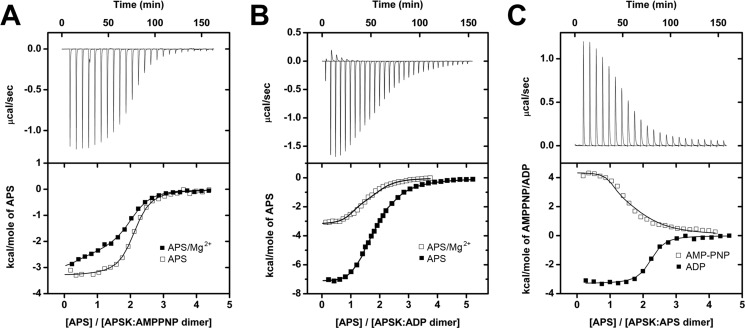 FIGURE 3.