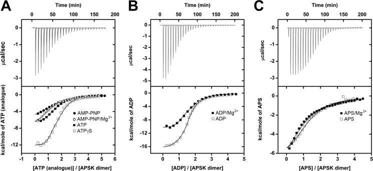 FIGURE 2.