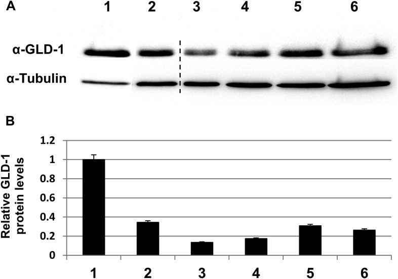 Figure 1—figure supplement 2.