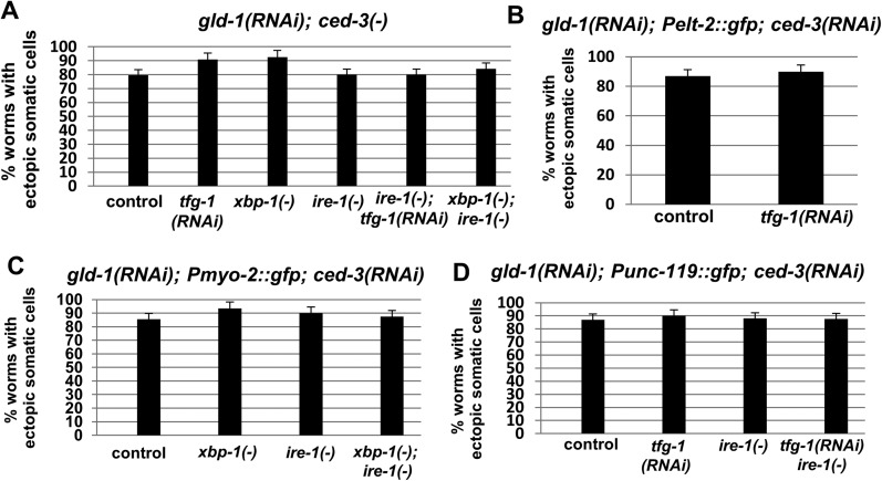 Figure 2—figure supplement 1.