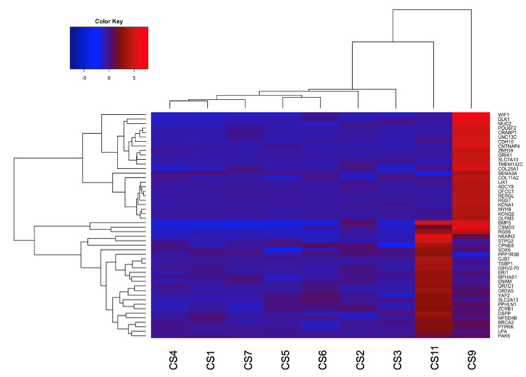 Figure 4