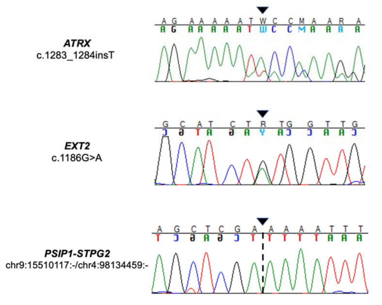 Figure 6