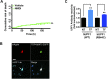 Fig. S5.