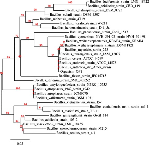 Fig. 1