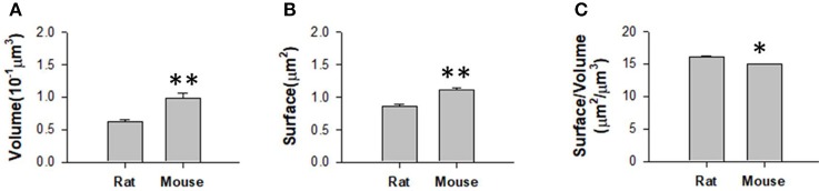 Figure 9