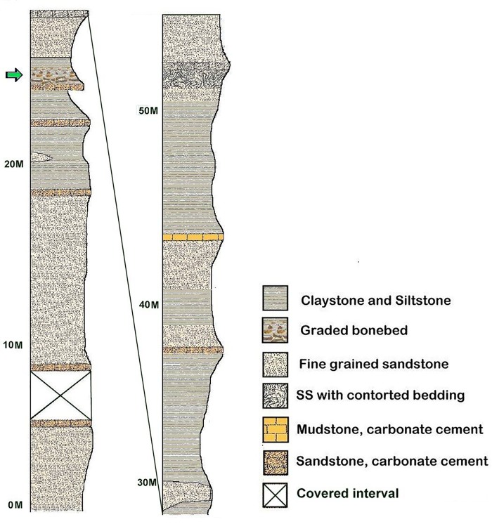 Fig 3