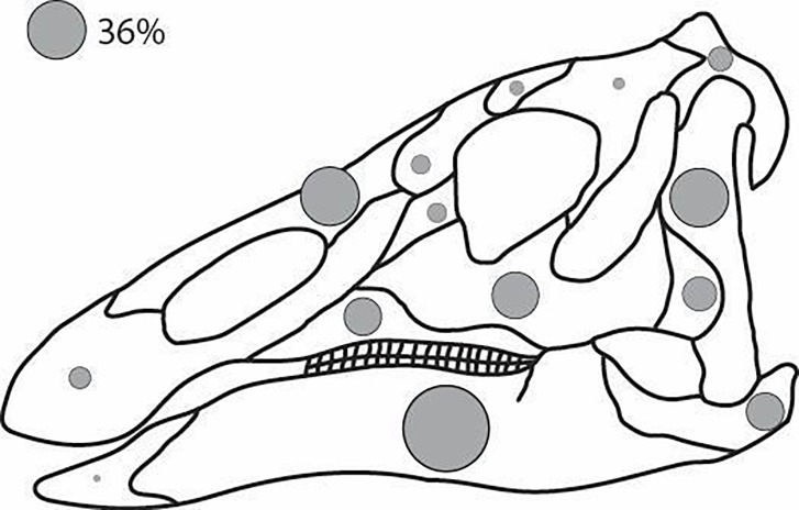 Fig 11