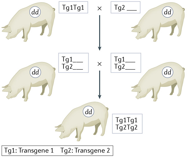 Fig. 4 ∣