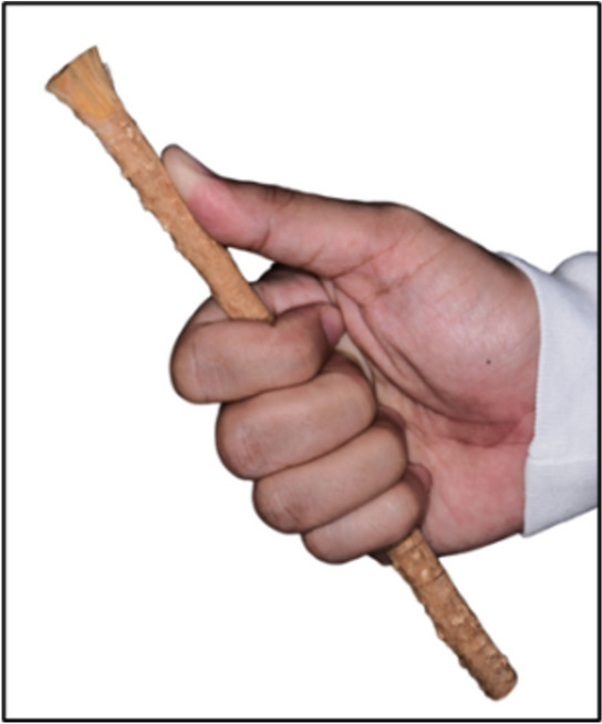 Fig. 2