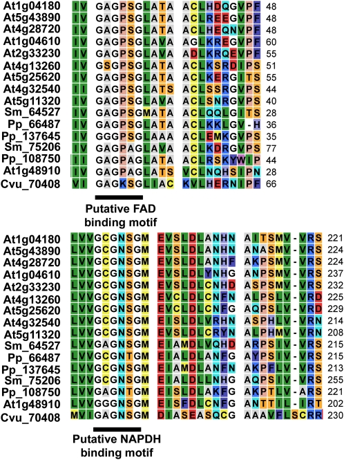 Figure 4.