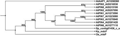 Figure 5.