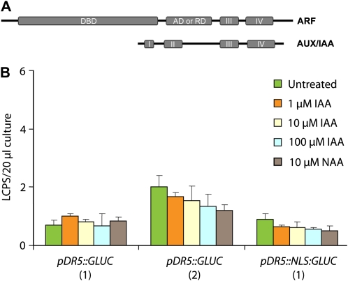 Figure 7.