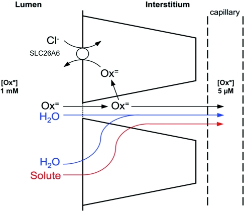 Figure 9.