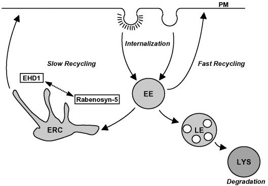 Figure 10.