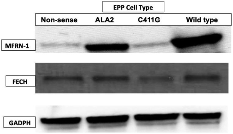 Fig. 3.