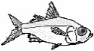 graphic file with name 41598_2020_68369_Figc_HTML.gif