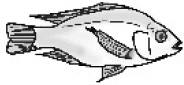 graphic file with name 41598_2020_68369_Figa_HTML.gif