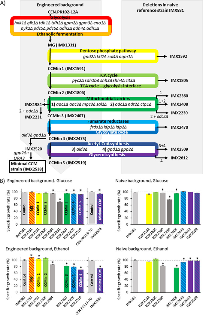 FIG 3