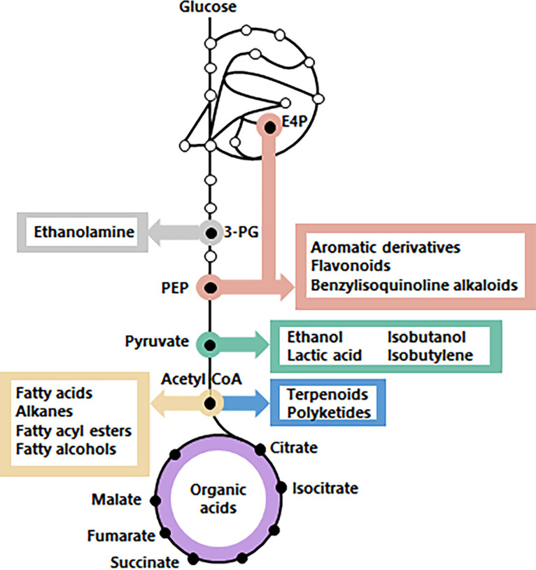 FIG 1