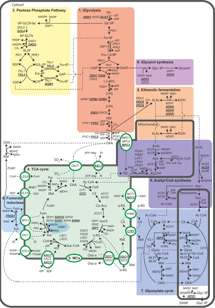 FIG 2