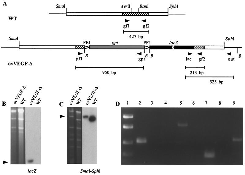 FIG. 1