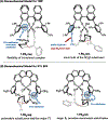 Figure 10.