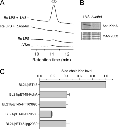 FIGURE 4.