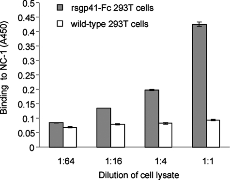 FIGURE 4.