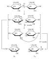 Scheme 3