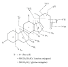 Figure 22